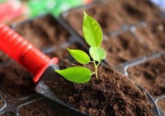 土壤養(yǎng)分檢測(cè)儀的應(yīng)用主要是在哪里？